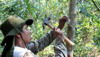 Por estudiar y conservar la biodiversidad de México, celebramos Día del Biólogo I Video