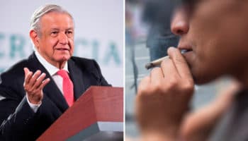 No hubo consenso en el Gabinete de Seguridad sobre despenalización del consumo lúdico de marihuana: AMLO | Entérate