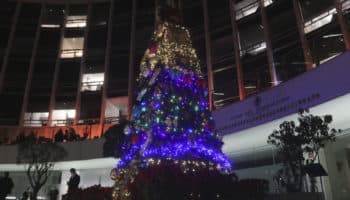 Sustituyen con recital el encendido del polémico árbol navideño del Senado | Video