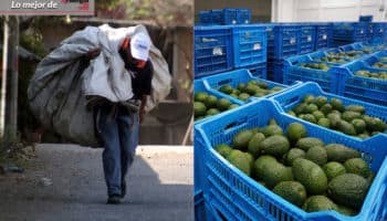 Lo mejor de Aristegui en Vivo: 40% de la población mexicana, en pobreza laboral | Se reanuda exportación de aguacate