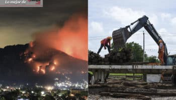 Lo mejor de Aristegui en Vivo: Cae presunto responsable del incendio en Tepoztlán | Plantar árboles no evitará daño a ecosistema por Tren Maya | Video