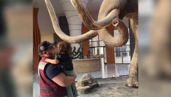 José Ramón López Beltrán y Carolyn Adams también visitaron el AIFA