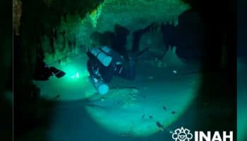 Rechaza INAH afectaciones a trazo de Tren Maya por hallazgo de fósil humano de 8 mil años