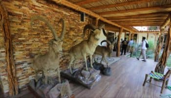 Entran a 'guaridas' de 'El Fresa' en Guerrero