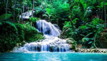 Las Plumas de la Serpiente: Poesía de agua en Ñuu Dzahuii