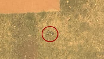 Hallan presunta granada en Torre de Pemex