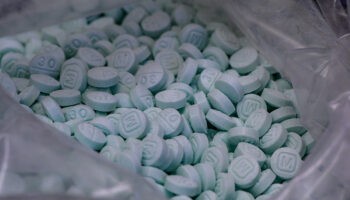 Consumo de fentanilo ya no solo se da en frontera con EU; está bajando a otras regiones de México: Dra. Rafful Loera | Video