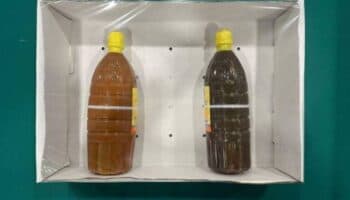 Interceptan metanfetamina líquida camuflada como salsa picante proveniente de México