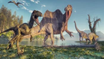¿Qué provocó la extinción de los dinosaurios hace más de 200 millones de años?