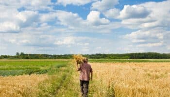 Inmigración arresta a 14 trabajadores agrícolas que viajaban en un autobús de la compañía en la que trabajaban