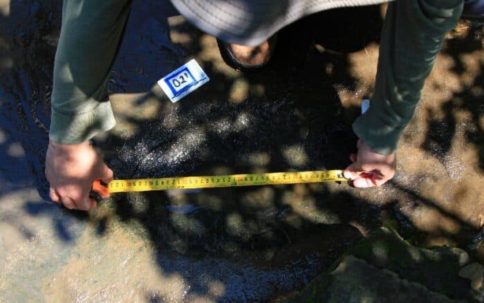 INAH confirma descubrimiento de 50 huellas de dinosaurios en Michoacán