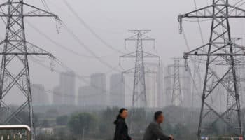 Proteger la naturaleza es 'prioridad': China previo a conversaciones de biodiversidad ONU