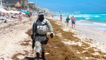 Marina: más 9 mil toneladas de sargazo han sido removidas de En Quintana Roo | Entérate