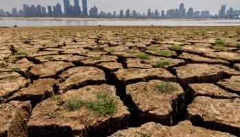 De Río a París: Una vista desde el derecho ambiental internacional | Artículo