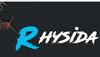 Alerta sobre Rhysida: cibercriminales que roban información