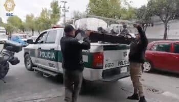 ¡Los puedes adoptar! Rescatan a 15 gatitos y un perro atrapados en jaulas en Azcapotzalco