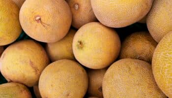 Cierran temporalmente procesadora de Sonora vinculada con melones contaminados con salmonella
