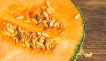 Canadá: Suben a seis los muertos por melones de México contaminados con salmonella