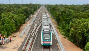 Tren Maya, sin espacio para especular: Impactos del megaproyecto