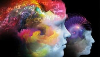 Microbiota contribuye al desarrollo de la inteligencia y la memoria: científicos