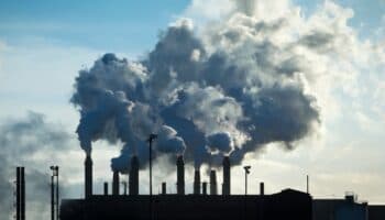 Personas y ecosistemas, cada vez más expuestos a la contaminación por mercurio: estudio