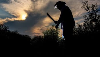 Cuidado y desarrollo social | Artículo de Roberto Vélez y Mónica Orozco