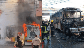 Sujetos armados incendian camión urbano frente al Mercado Central de Acapulco | Video