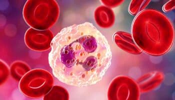 El ejercicio podría ayudar a combatir el cáncer gracias a las células blancas