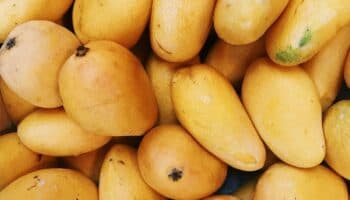 ¿Qué enfermedades ayuda a prevenir el mango?