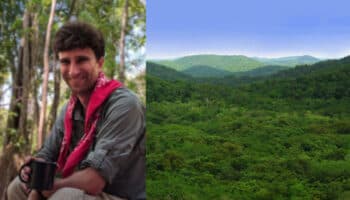 Estudiante descubre "por accidente" ciudad con pirámides mayas en Campeche oculta por la vegetación