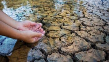 México buscará restaurar 150 millones de hectáreas para asegurar su suministro de agua: Semarnat