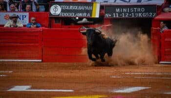 Sector taurino pide ser consultado ante propuesta de corridas incruentas en Plaza México