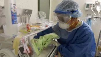 Klebsiella oxytoca: alerta por bacteria oportunista y resistente a antibioticos