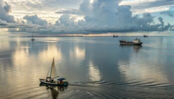 La 'zona muerta' del Golfo de México cae un 21 por ciento menos de lo previsto