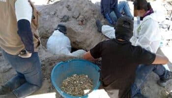 Sheinbaum sobre hallazgo de hornos clandestinos en Jalisco: 'Es terrible'