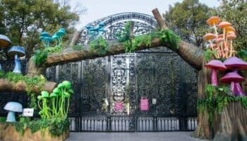CDMX | Únete al recorrido 'Somos Naturalistas' para observar biodiversidad urbana