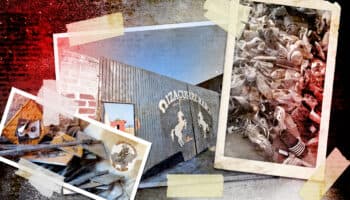 Teuchitlán | Sheinbaum respalda a la FGR, pero pide escuchar a buscadores