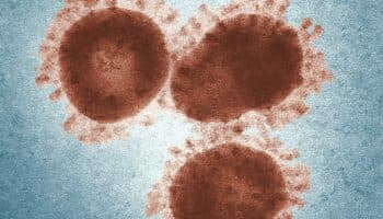 Muere mexicano no vacunado por el actual brote de sarampión