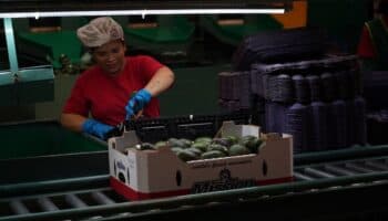 TMEC “ha mantenido deprimidos los salarios en México", acusa sindicato estadounidense