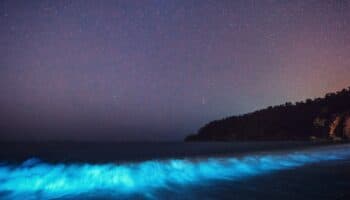 El plancton bioluminiscente #Niñonautas con Kirén Miret