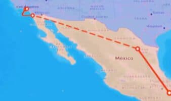 EE.UU. alerta por falsa ruta migrante desde Puebla a Los Ángeles | Video