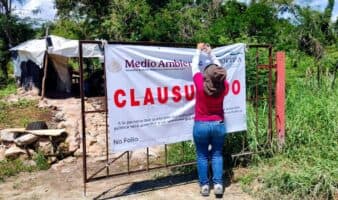 Profepa impone una clausura total definitiva a la granja porcícola en Mérida, Yucatán