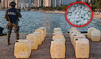 FGR indaga a exmarino por red de huachicol fiscal y tráfico de fentanilo: Reforma