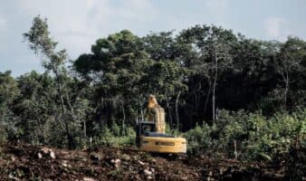 Semanart se está convirtiendo en el aval de la devastación: Greenpeace México