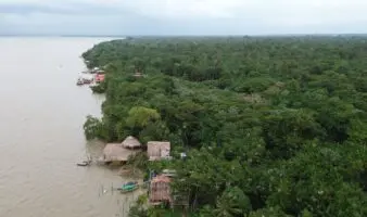 COP30 | ¿Salvarán los bosques? La paradoja de la deforestación cero sin un freno a los combustibles fósiles