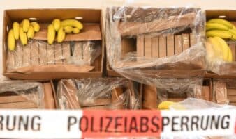 Cocaína y banano: así fue como traficantes de los Balcanes usaron cargamentos de fruta de la empresa familiar del presidente de Ecuador para traficar drogas