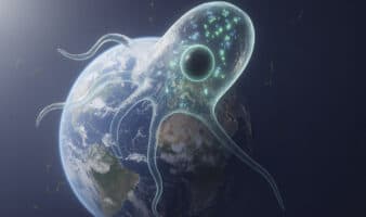 Una ameba que vive a 63 grados reabre el debate sobre la vida más allá de la Tierra