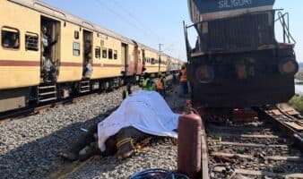Tragedia en India: Tren de alta velocidad mata a 4 elefantes adultos y 3 crías