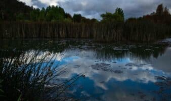 México apuesta por la conservación comunitaria para alcanzar el 30% de territorio protegido en 2030