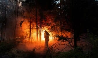 Ecocidio en la Patagonia: incendios devastan bosques ante falta de prevención